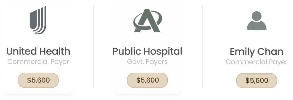 Three payer accounts side by side, a commercial payer, a government payer, and a patient, each showing its own balance.