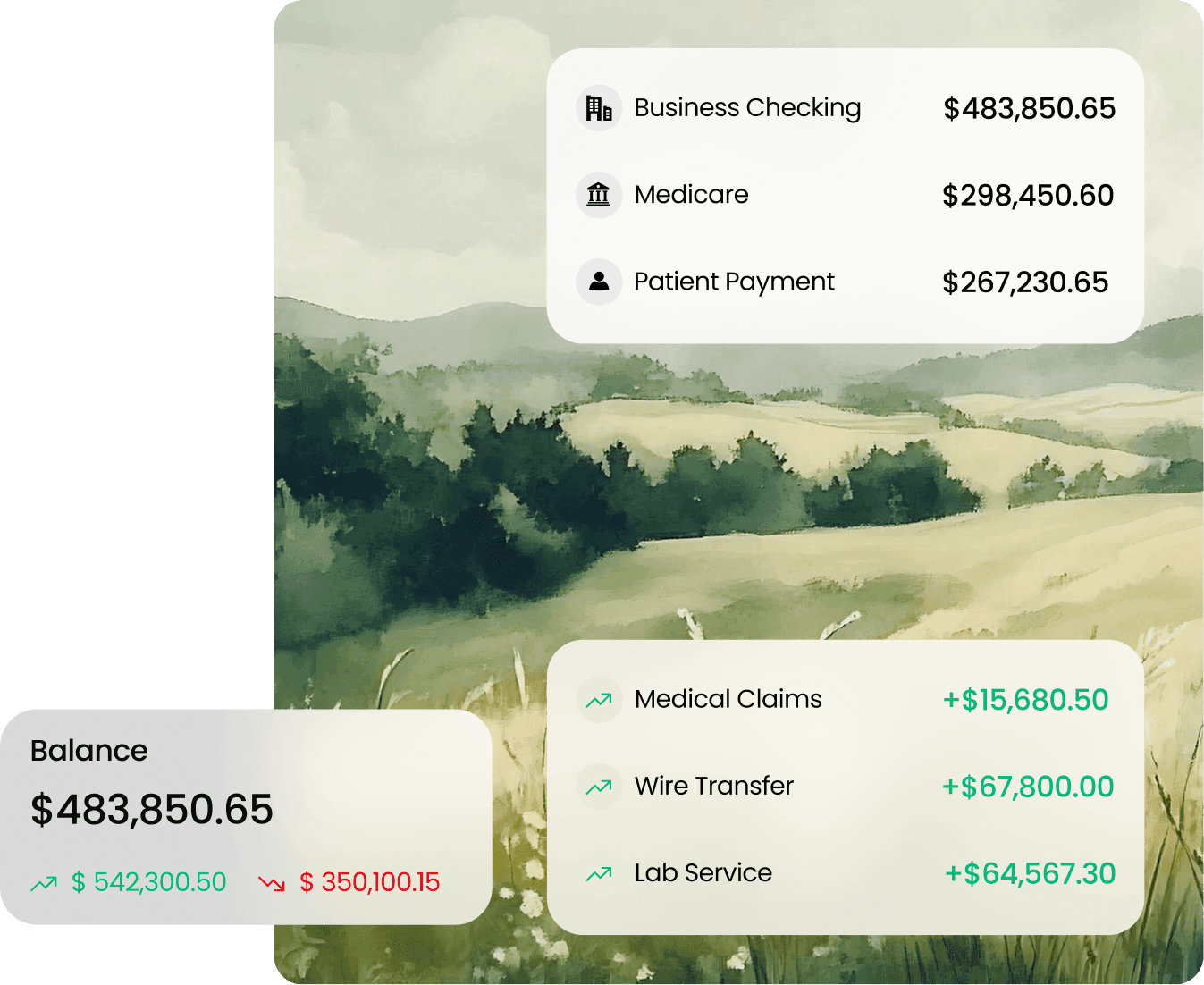 Separate Business Checking, Medicare, and Patient Payment accounts listed with their own balances, above a summary of total inflows and outflows.